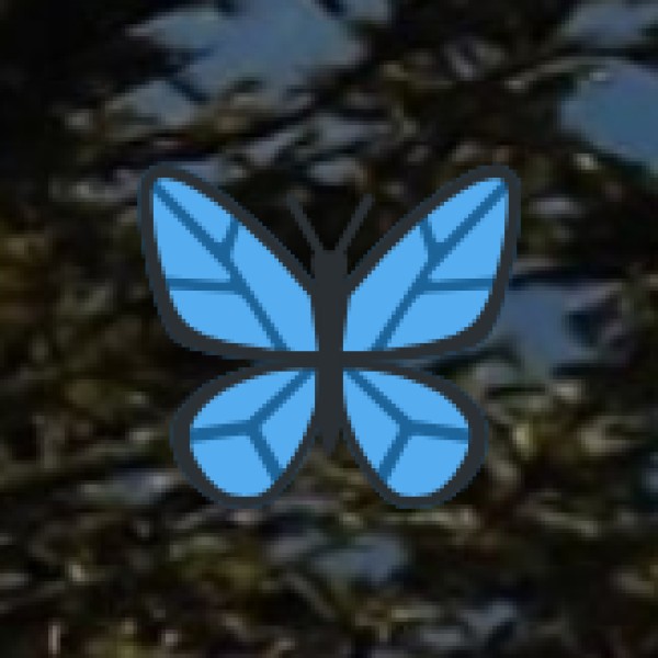 Traditional Shopping & Local Markets