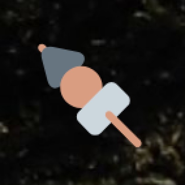 Where to Try Street Food in Vellore?