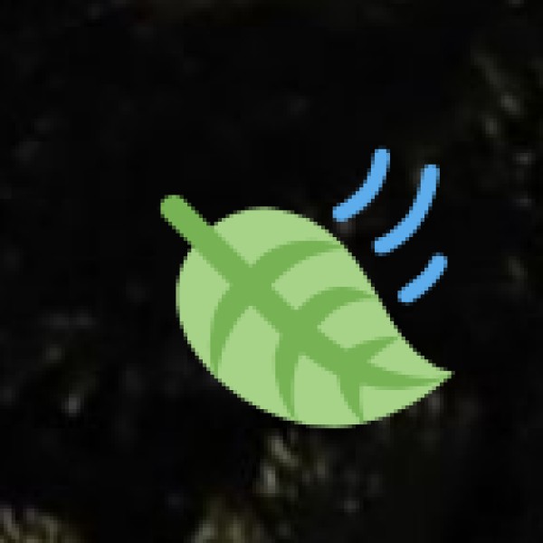 Thalapakatti Biryani