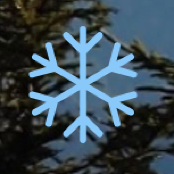 Masala Dosa & Filter Coffee