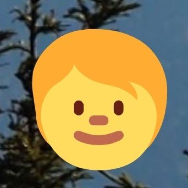 Must-Try Foods in Hosur