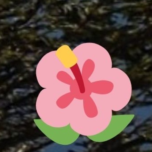 Modern Shopping Malls in Salem