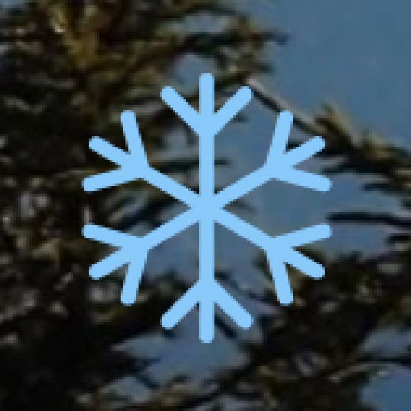 Handicrafts & Antique Shopping