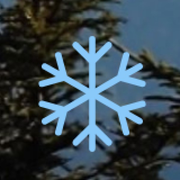 Best Places to Buy Food & Spices in Tirupur