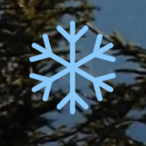 Best Non-Vegetarian Restaurants