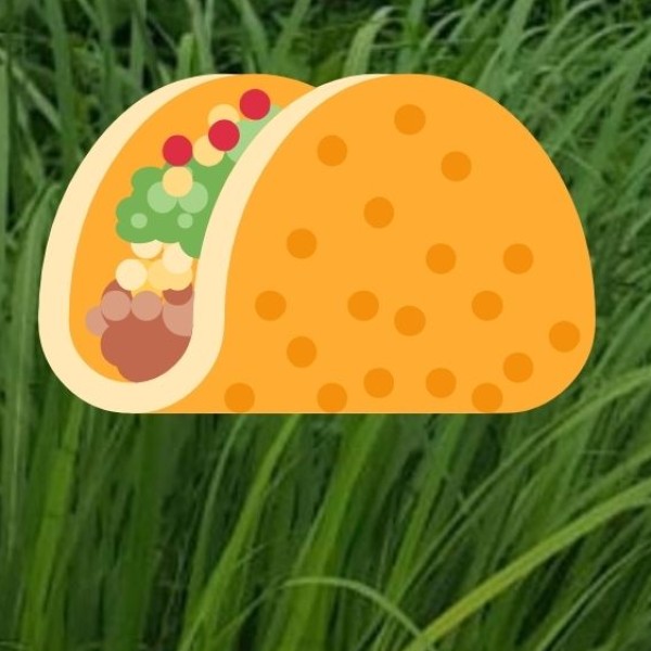 Must-Try Dishes in Udupi