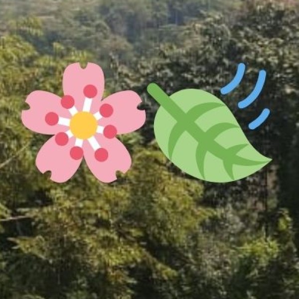 What to Buy in Vellore?