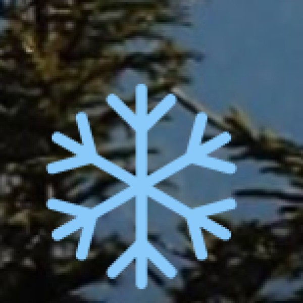 Gongura Pachadi (Andhra’s Signature Pickle)