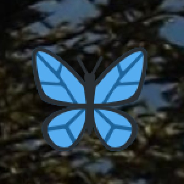 Public Buses (APSRTC City Buses)