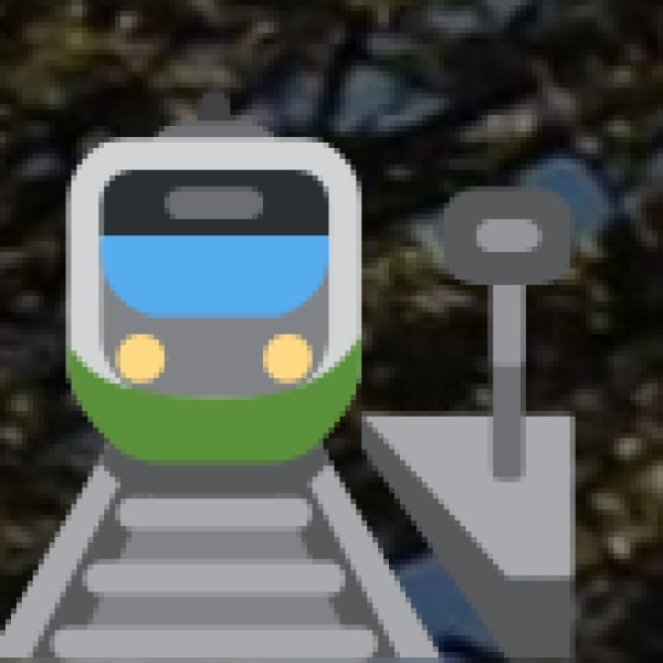 By Rail