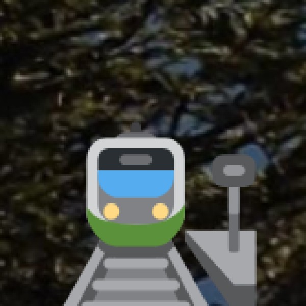 Major Trains to Nellore: