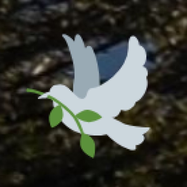 By Train  (Erode Junction - ED)