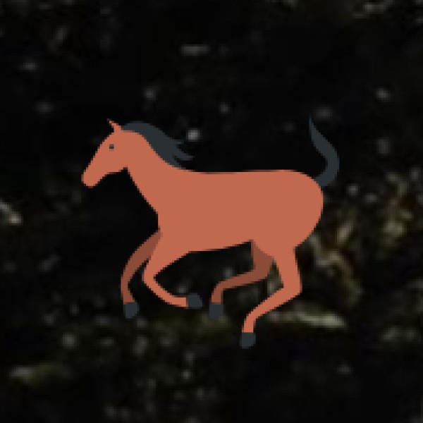 How to Reach Tiruchirappalli?