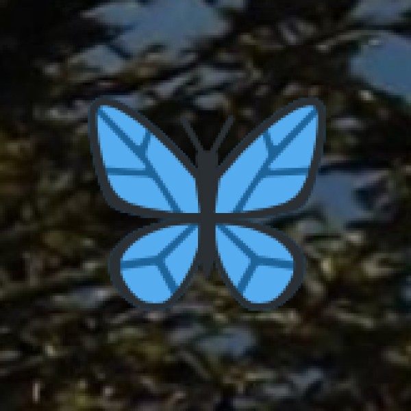 Summary – Best Ways to Reach Chennai