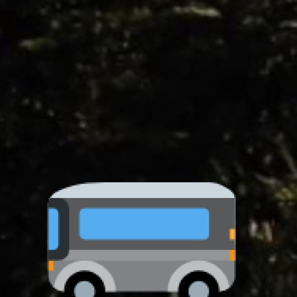 Bus Services to Vellore