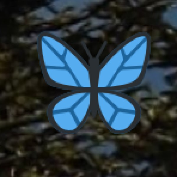 How to Travel from Chennai Airport to Vellore?