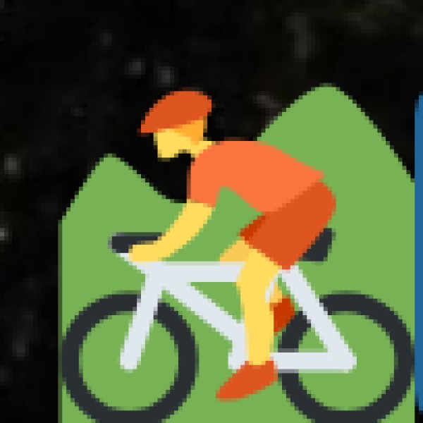 Bicycle & Bike Rentals