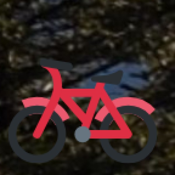 Bike & Cycle Rentals (Best for Exploring)