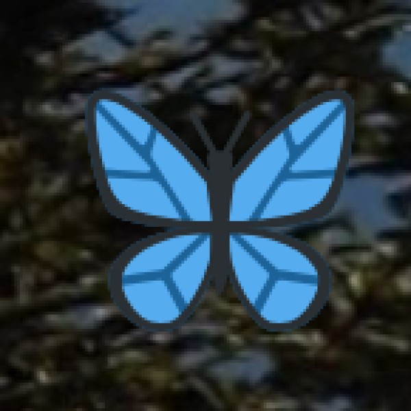 By Air (Nearest Airport: Bengaluru Airport - 75 km)