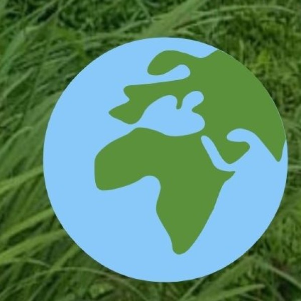 How to Reach Chennai?