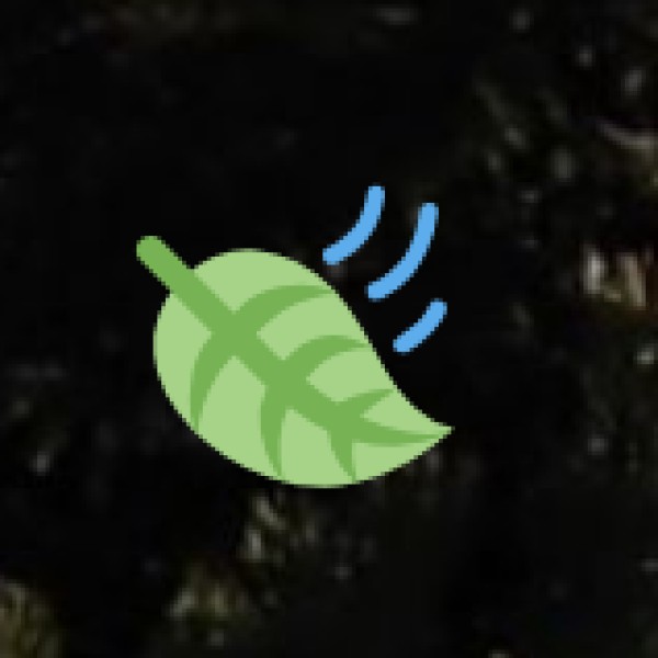 Local Transportation in Nellore