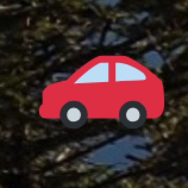 Road Transport Options