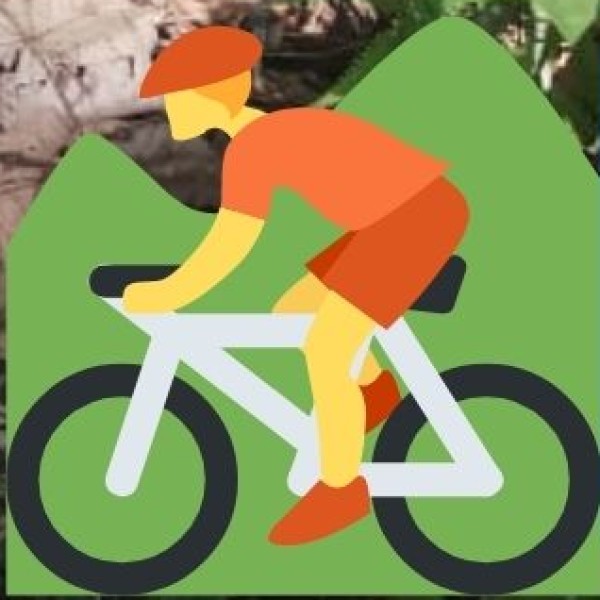 Bike & Cycle Rentals