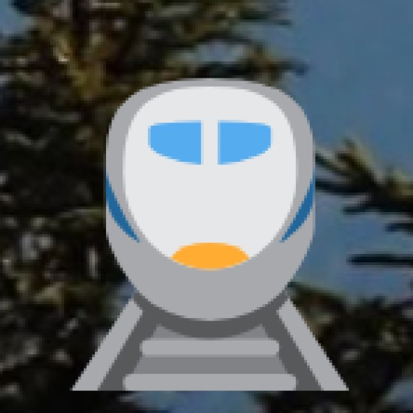 Local Transport from Railway Stations