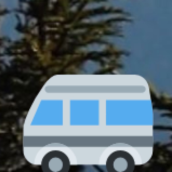 Road Transport Options