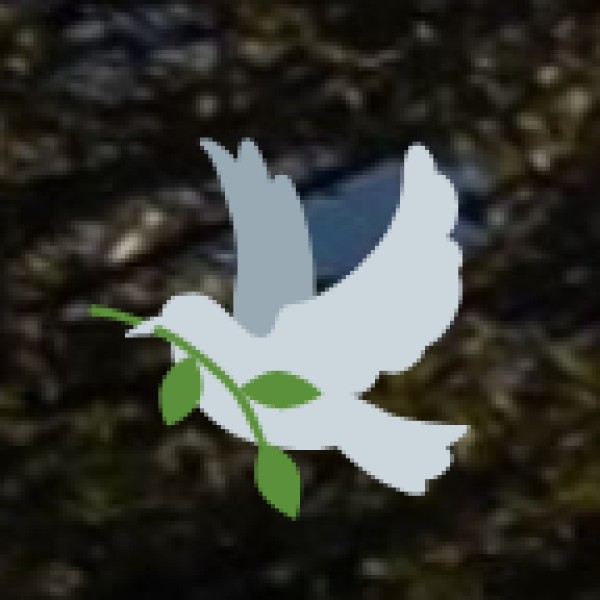 By Road (National Highway NH-44)