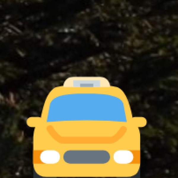 Local Transport in Eluru