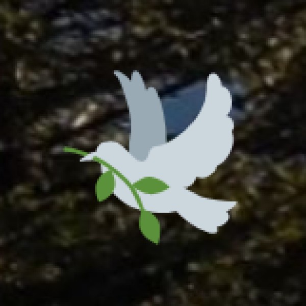 International Flights to Tiruchirappalli