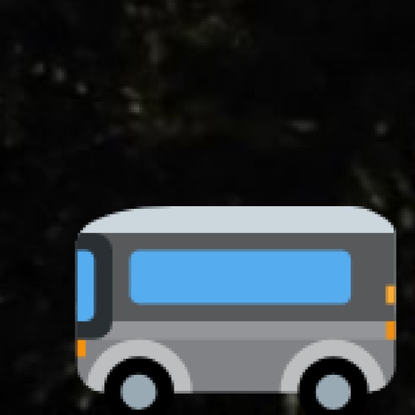 City Buses (Budget-Friendly)
