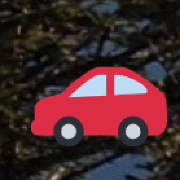 Travel Tips for Visitors