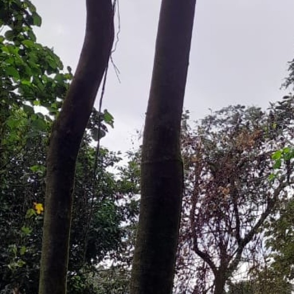 How to Reach