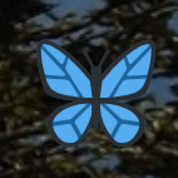 Nearest Major Airports