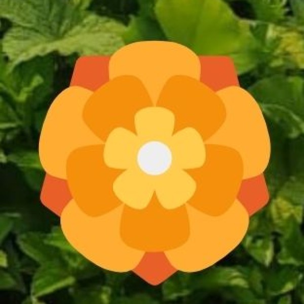 Local Transportation