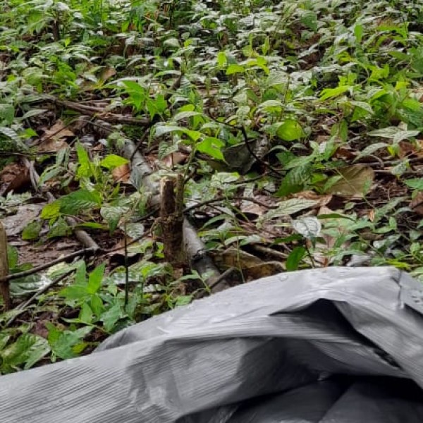 Best nearby Destinations & Day Trips