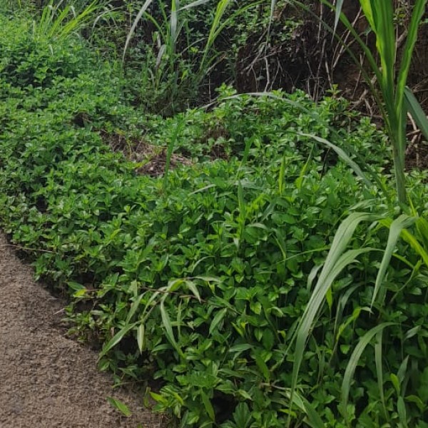 Best nearby Destinations & Day Trips