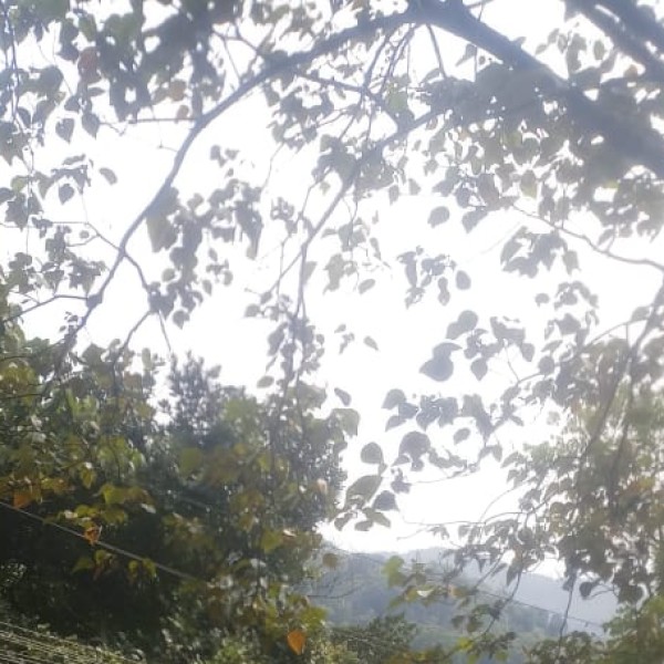 Best nearby Destinations & Day Trips