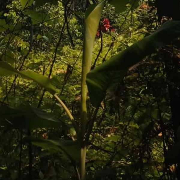 Best nearby Destinations & Day Trips