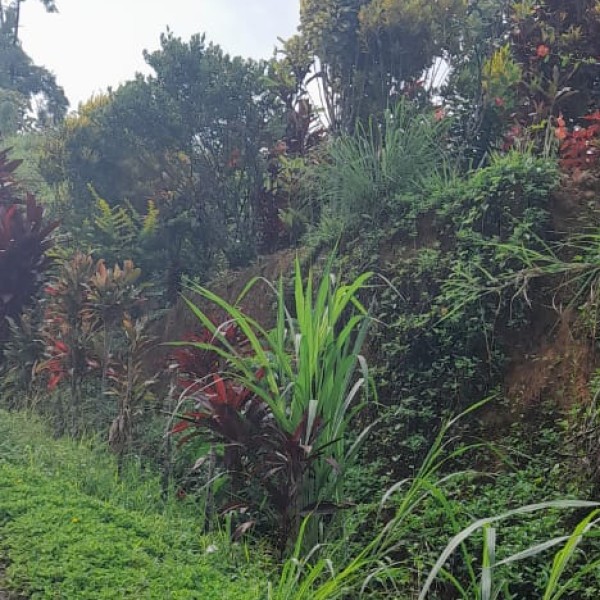 Nearby Destinations & Day Trips