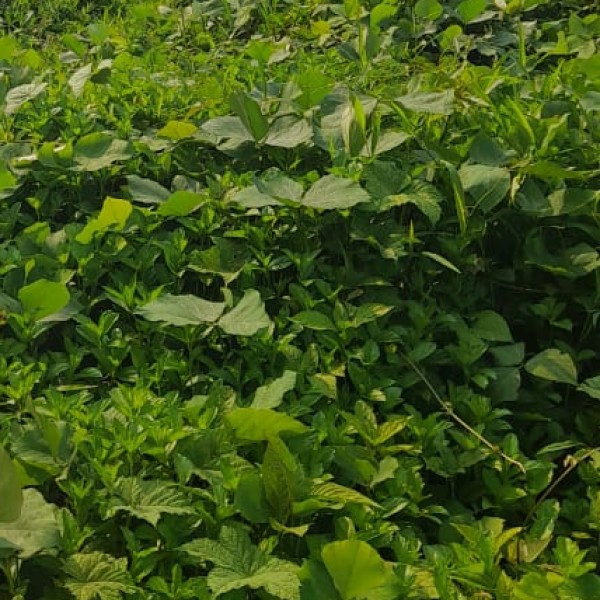 Best nearby Destinations & Day Trips