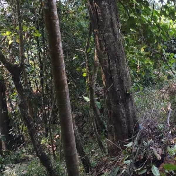 Best nearby Destinations & Day Trips