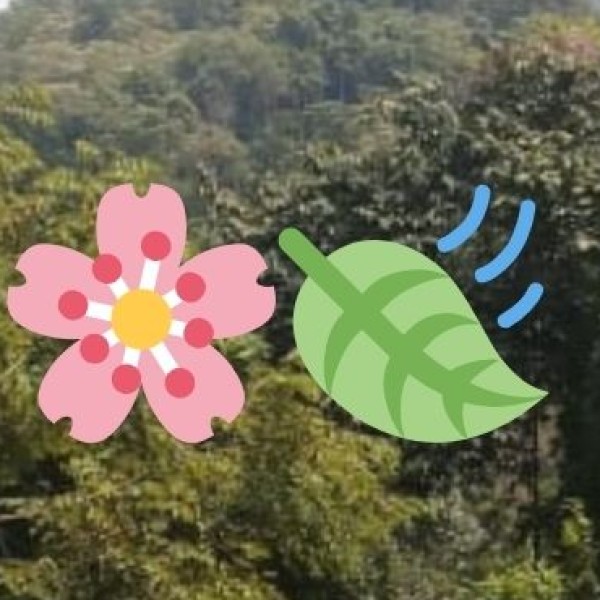 Mahabalipuram (Mamallapuram)