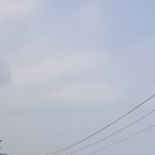 Who Should Visit Kottayam?