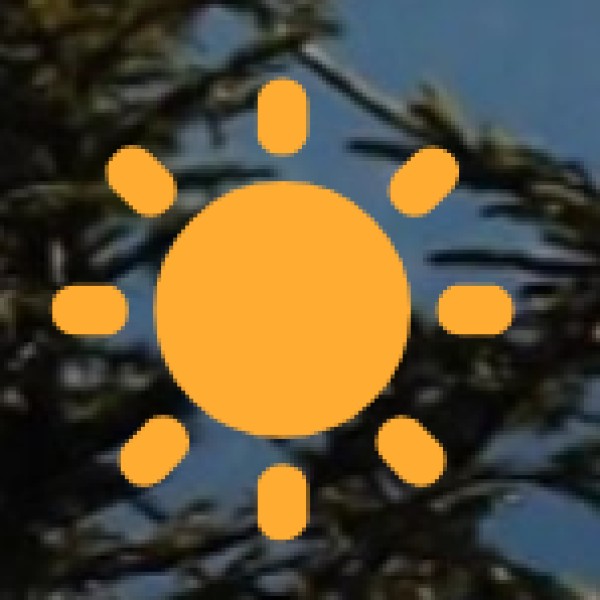 Must-Try Foods in Salem