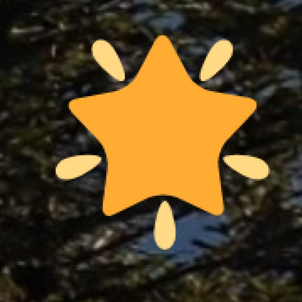 Tourist Attractions: