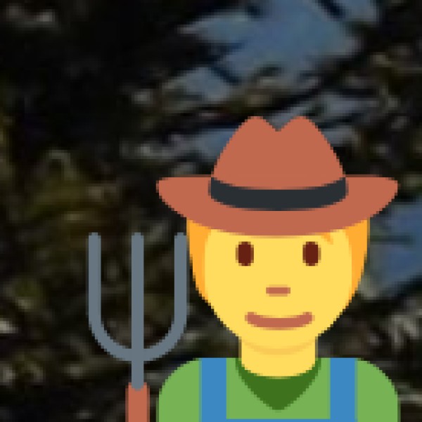 Quick Facts About Salem