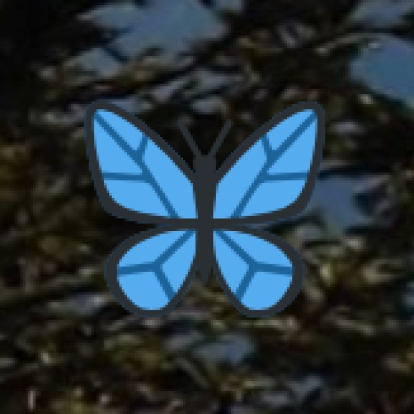 Festivals & Events in Tirupur